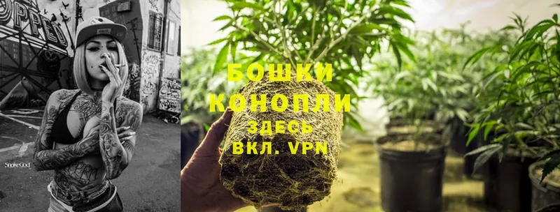 Конопля SATIVA & INDICA  хочу   Вичуга 